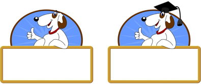 九游娱乐app-校园体育节活动对学生参与度的促进作用，学校体育节活动描述